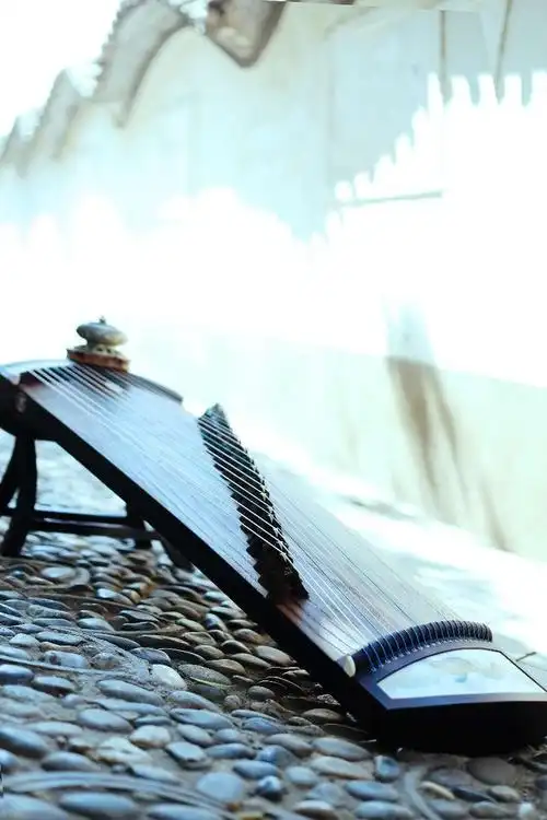 师大附小樱花语校区古筝兴趣班