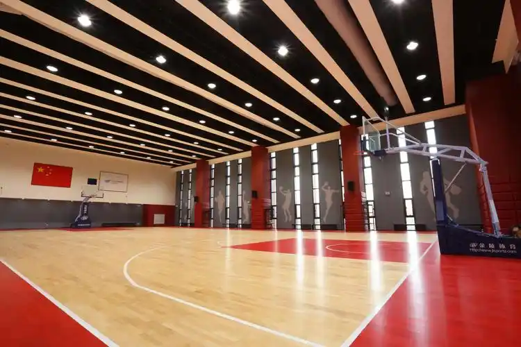 2019首战告捷这个场馆火了