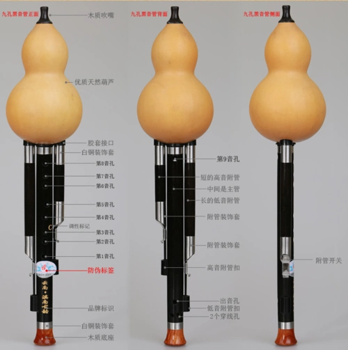 九林音乐培训中心(葫芦丝,竹笛,二胡,古筝)