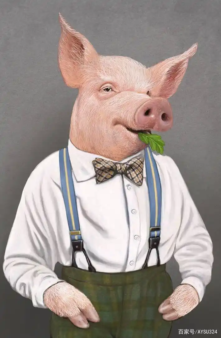 可笑图片·动物穿衣服了