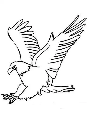 飞翔的雄鹰简笔画老鹰求一张大鹏展翅简笔画刻在水杯上用的要大气点的