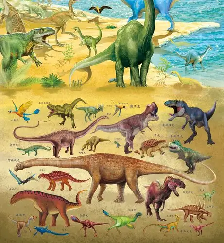 【赠限量化石玩具】正版恐龙书世界恐龙大百科全书89101215岁青少年