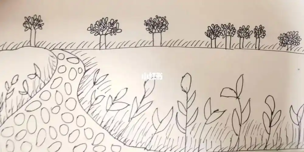 画画  #画画的日常  #春天去赏花  #简笔画  #油菜花