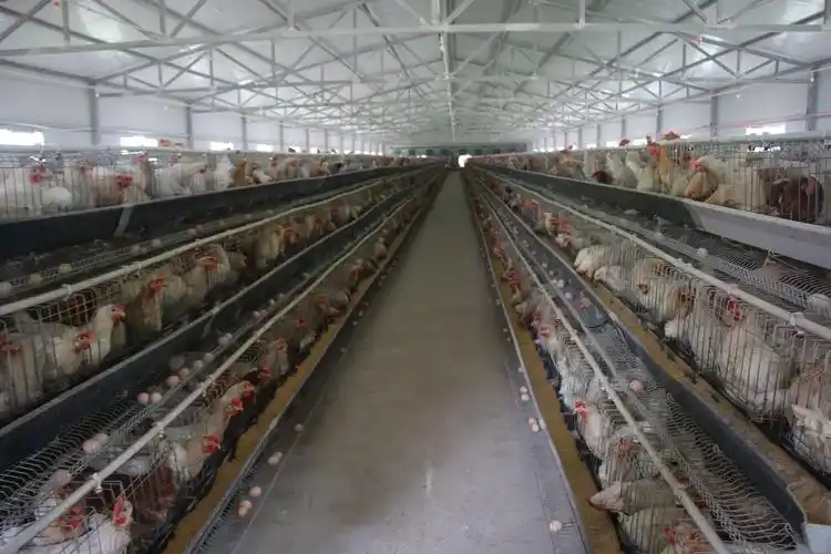 荔波全力打造四新农村助推乡村振兴