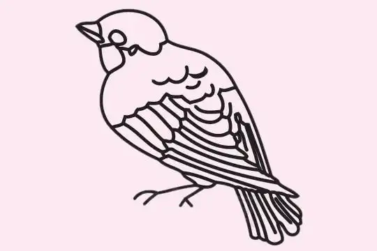 麻雀简笔画的画法步骤教程