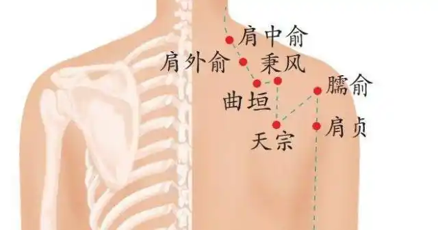 穴位归属经络:手太阳小肠经.