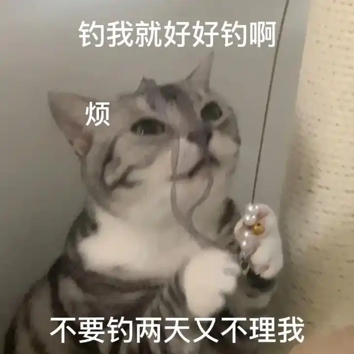 不要钓我两天又不理我!#萌宠表情包 #情侣表 - 抖音