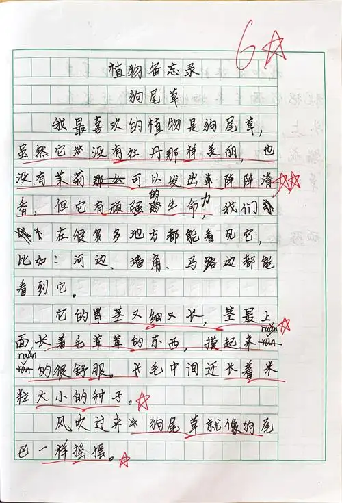 其它 【习作三】植物备忘录 写美篇