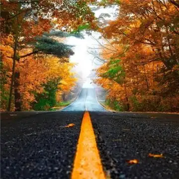 成熟男人微信头像风景2019 风不识路才会没有归宿 676767