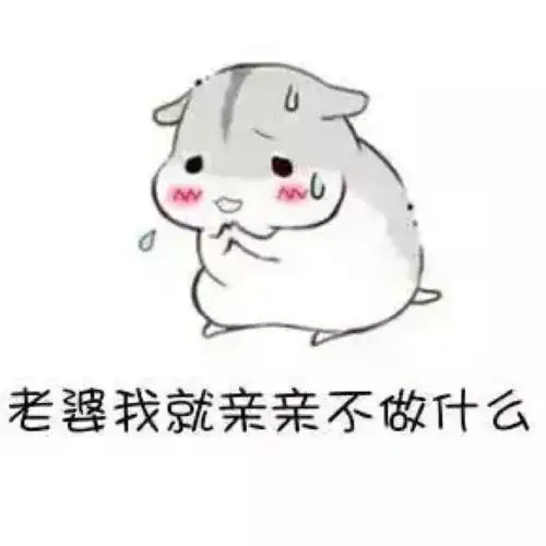 污表情包情侣老婆 - zx图片网,一个充满欢乐的表情包图片乐园