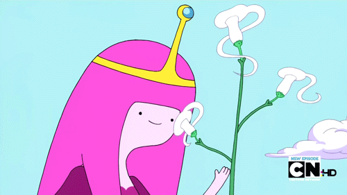 探险时光/探险活宝/pb女神-堆糖,美好生活研究所