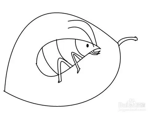 怎样画叶子上的蚜虫