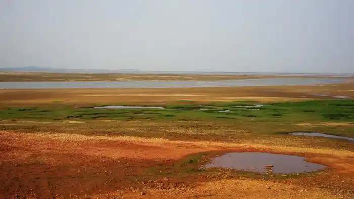 赣,湘,黔,桂自驾游之江西篇图片19,鄱阳湖旅游景点,风景名胜 - 马蜂窝