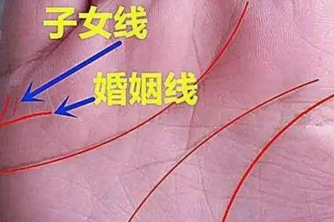 从手相看出女人一辈子有几个孩子吗             现在就是不让随便生