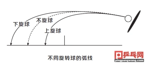 不同旋转的球,击球后的弹跳路线是什么样的?
