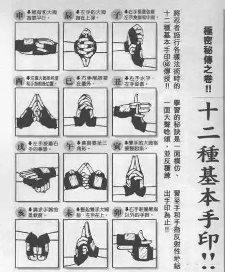 卡卡西|佐助|小樱_网易订阅