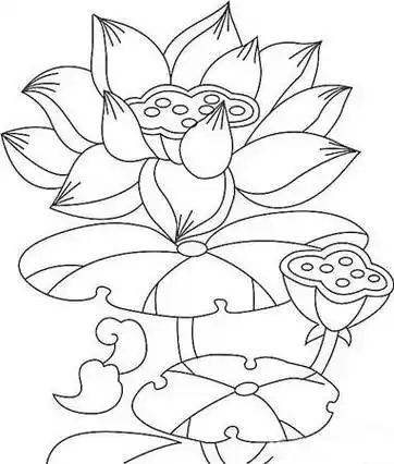 莲花简笔画 莲花简笔画大全 画法