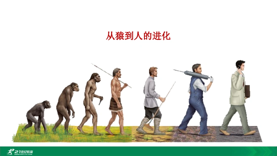 2020年春人教七下生物第一章第一节从猿到人的进化教学课件