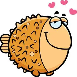 刺河豚在爱的卡通河豚照片