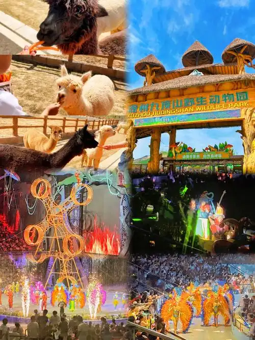 图文伙伴计划 报!徐州九顶山野生动物园一票畅玩99#亲子游 - 抖音