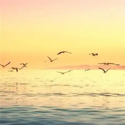 会带来好运的微信头像男生 有好运意境的男生微信头像图片