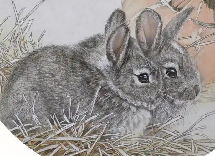 李喆老师工笔兔子细节图
