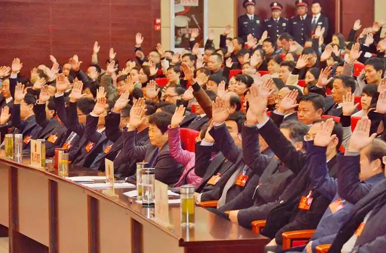 代表们举手表决相关决议草案. 记者 王政 摄.jpg