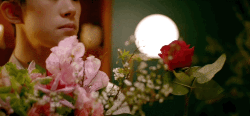 960_448gif 动态图 动图