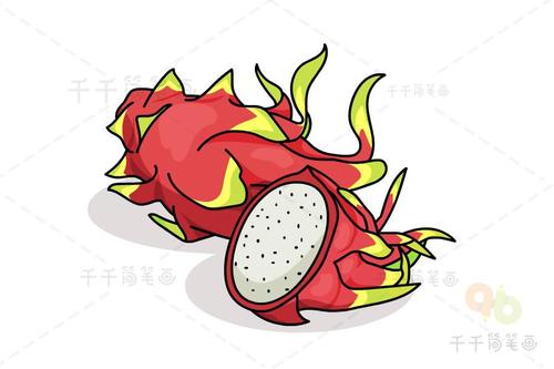 火龙果简笔画步骤图解