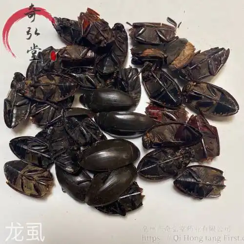 中药材龙虱水鳖虫射尿龟尿缸贼水龟子一公斤起售图片