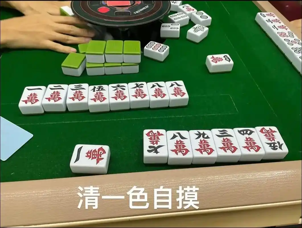 好想再摸个酱酱胡#长沙麻将258 - 抖音