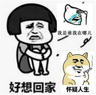 这是哪我要回家