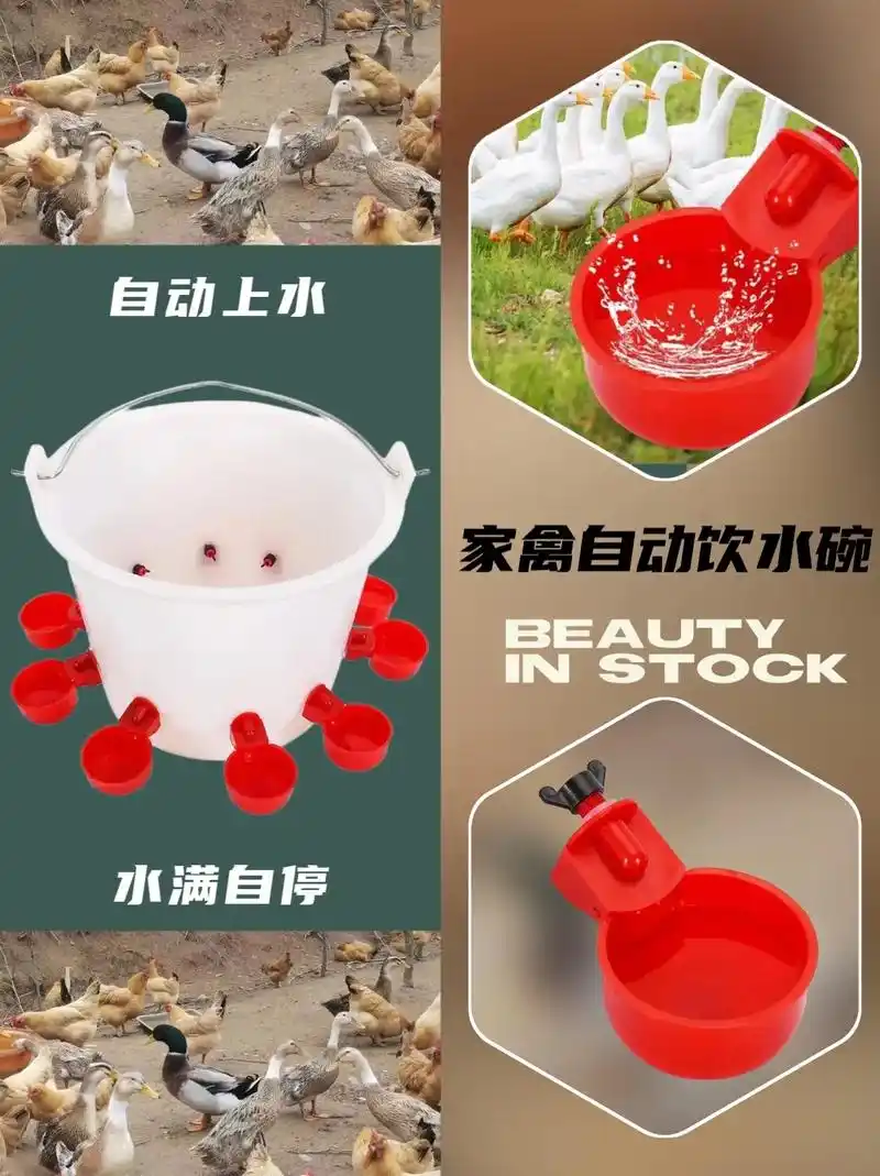 图文掘金计划 #自动饮水器 #鸡鸭鹅养殖 #科学养殖 #助 - 抖音