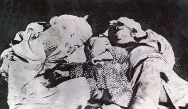 这个曾震惊全美的华裔女子,用生命书写南京大屠杀的真相!