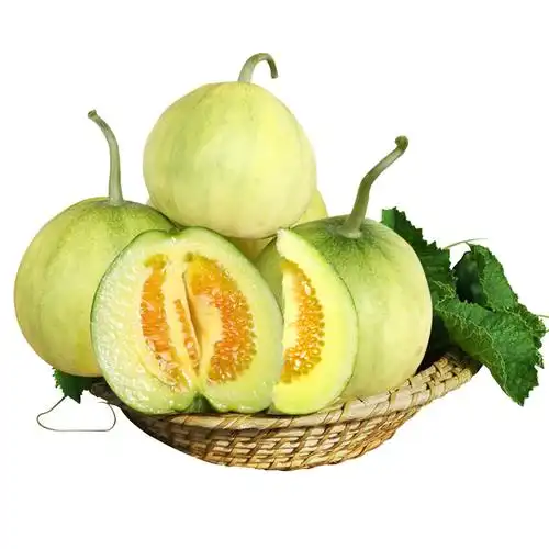 莱西马连庄甜瓜新鲜水果孕妇时令当应季小香瓜甜宝蜜宝王头茬包邮