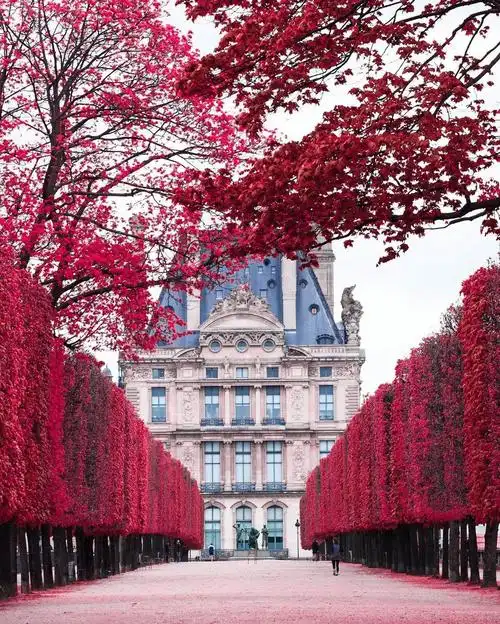 浪漫之都法国巴黎景色0606