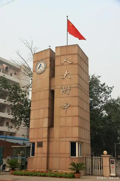 教育启示:不找背锅侠,专注于提质增效