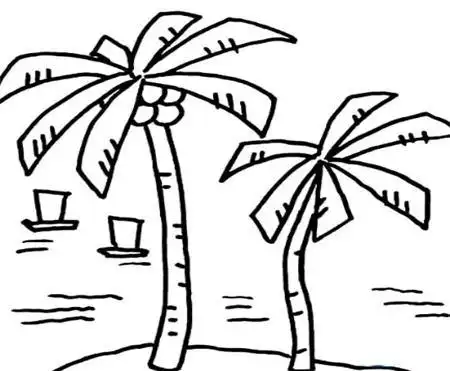 简笔画椰子树简笔画椰子树涂色