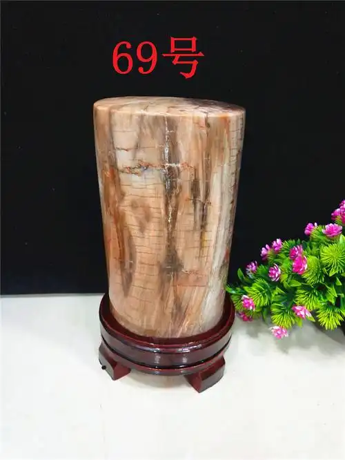 天然缅甸树化玉绿料树化石奇石观赏石原石摆件石头礼品收藏白色76