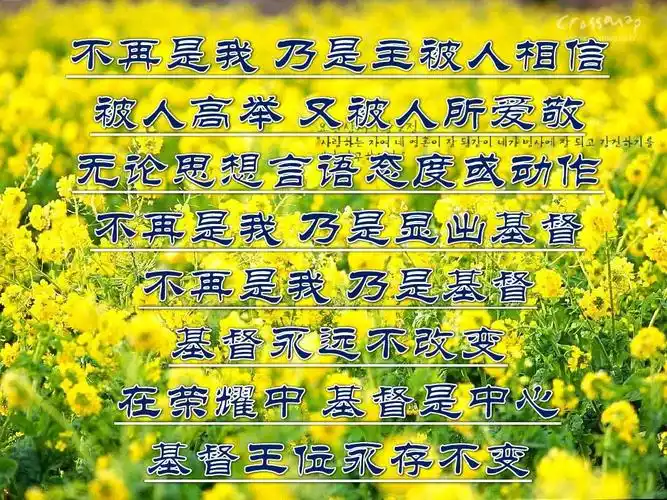 至公无我,至公无我什么意思