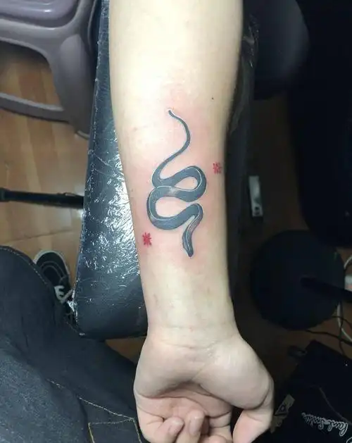 小蛇纹身图片_手臂纹身图案