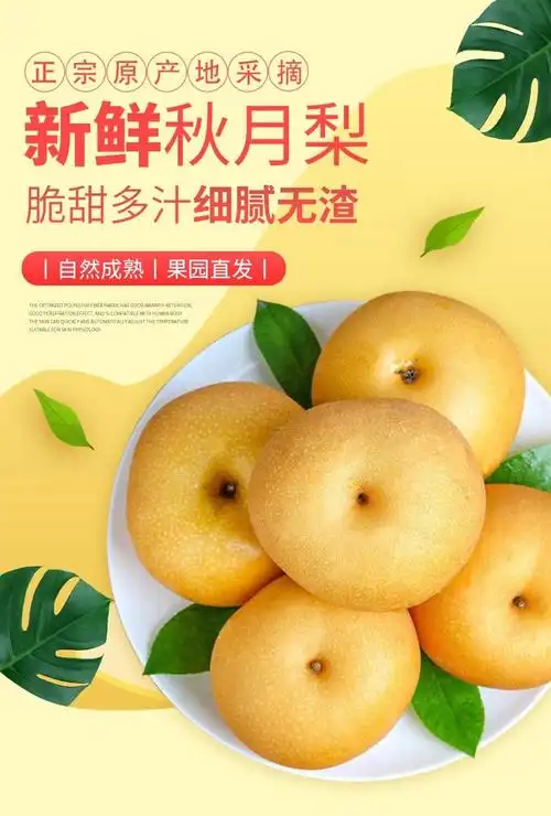 山东秋月梨新鲜丰水梨皮薄多汁冰糖梨新鲜当季水果