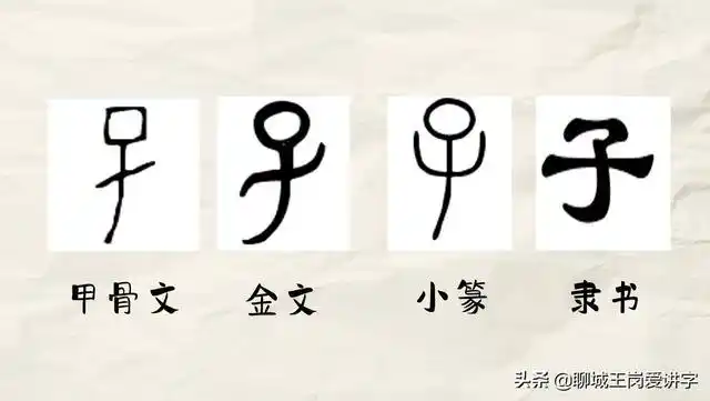 看下图"子"的甲骨文,标准的象形字,完全是根据襁褓中的婴儿创作出来的