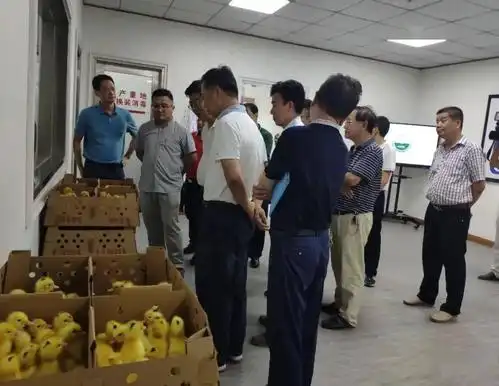 乡村振兴市人大常委会副主任柯群坚带队到我县开展推进乡村产业振兴和