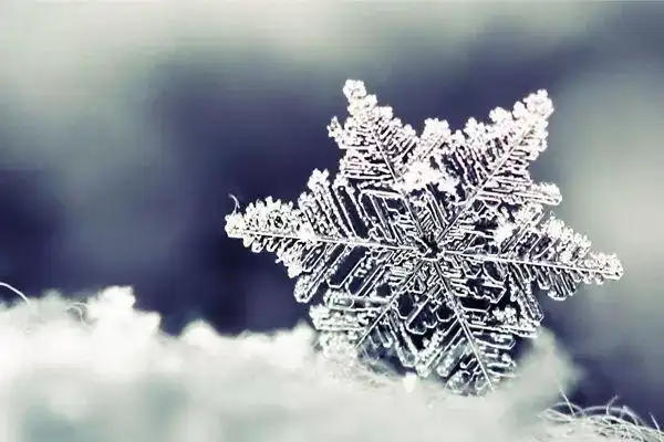 徐志摩最美诗朗诵:《雪花的快乐》