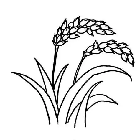 冬天麦稻简笔画 简笔画图片大全-普车都