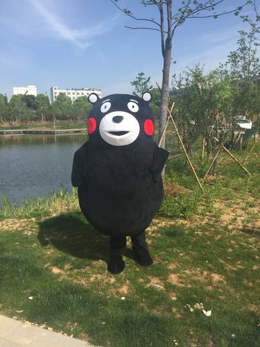 熊本熊布朗熊行走人偶服装成人cos服抖音同款网红演出道具