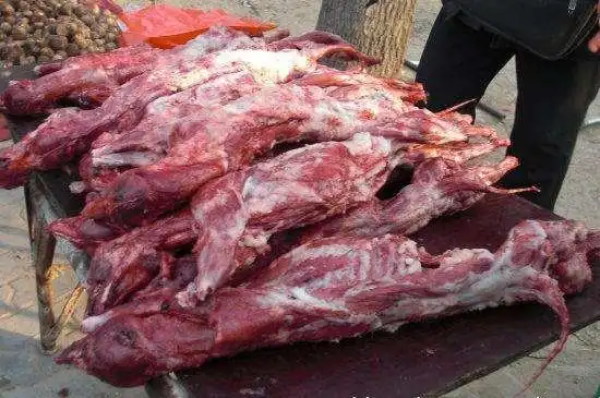 怎样去除貉子肉的骚味-最新怎样去除貉子肉的骚味详解