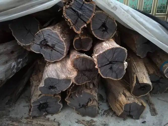 红木紫光檀原木实拍