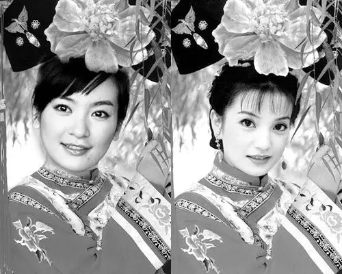 揭秘第三代小燕子李晟 颇似赵薇和林熙蕾的混合体